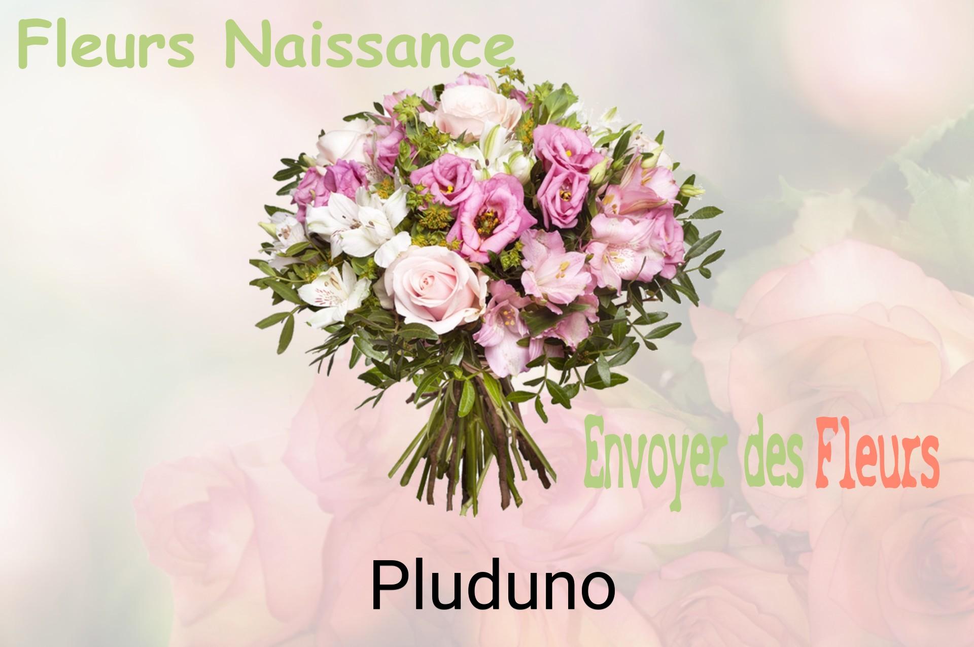 Bouquet de fleurs de naissance livré à Pluduno