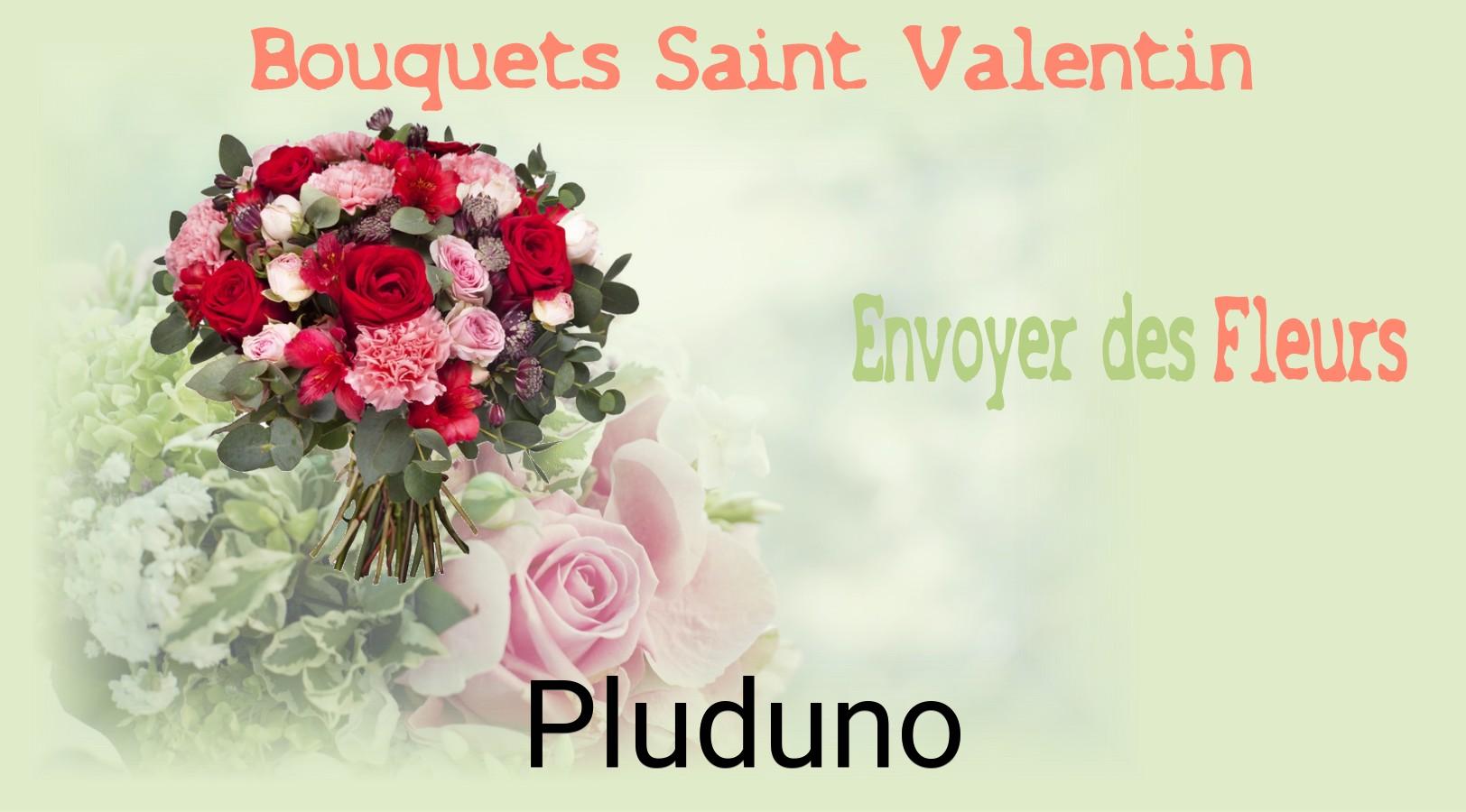 Roses de Saint-Valentin livrées à Pluduno