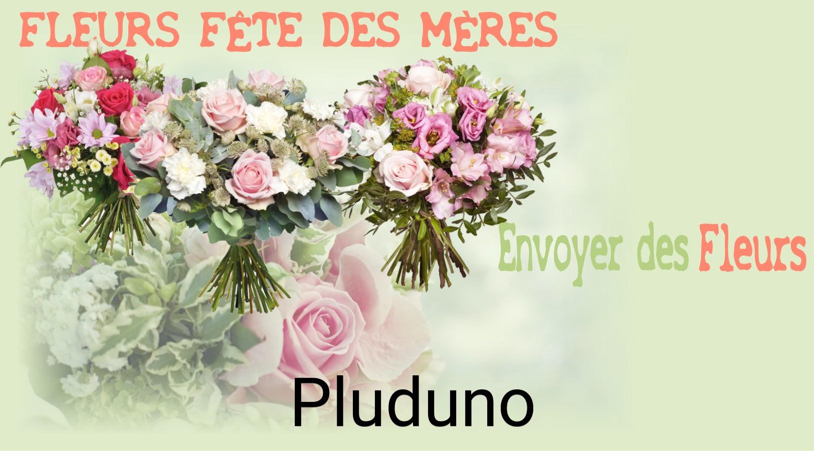 Bouquet de Fête des Mères livré à Pluduno
